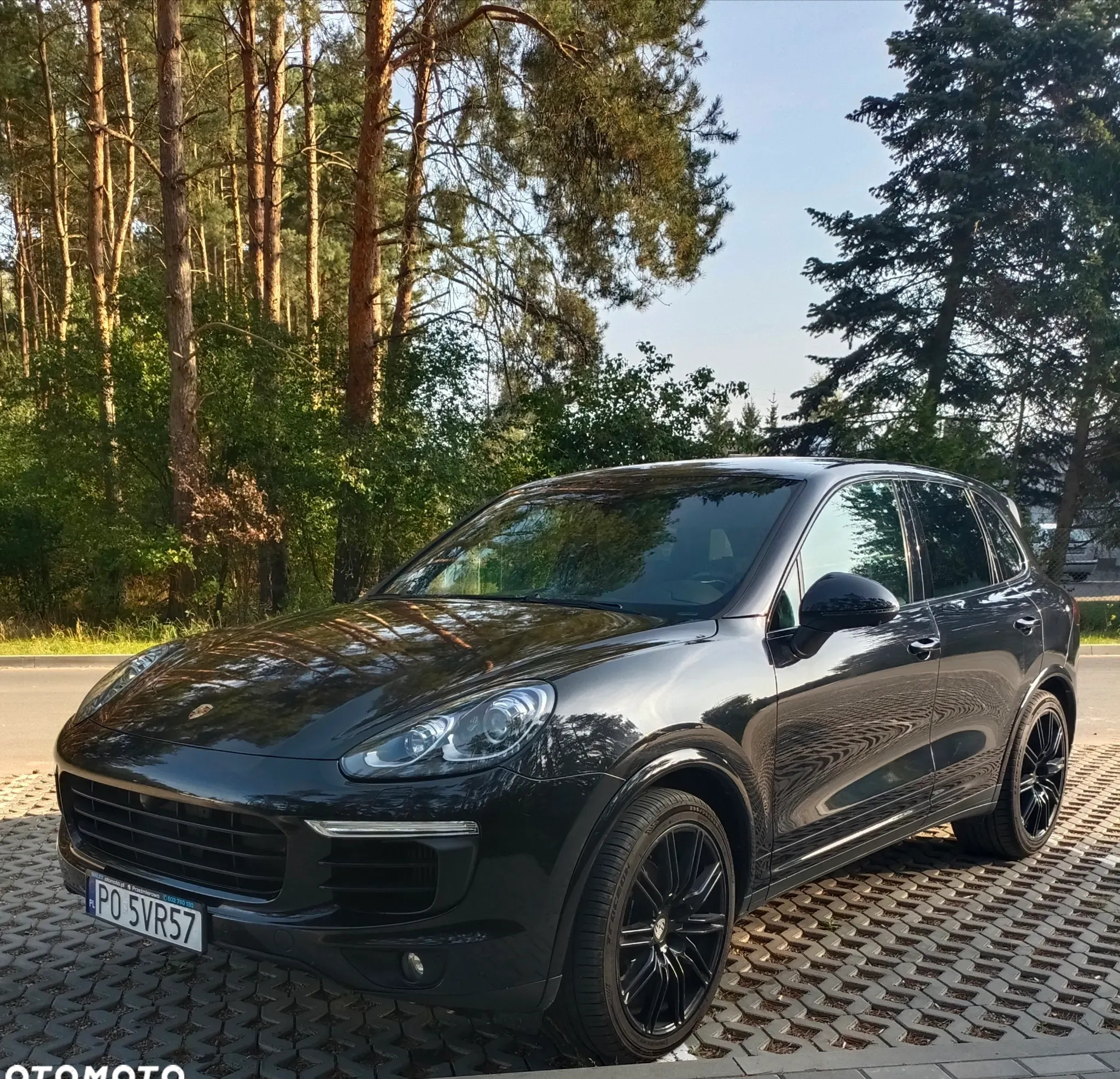 Porsche Cayenne cena 190000 przebieg: 58655, rok produkcji 2017 z Piotrków Kujawski małe 352